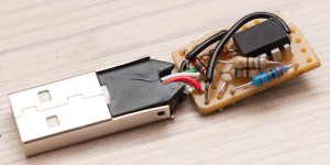 Insides 1